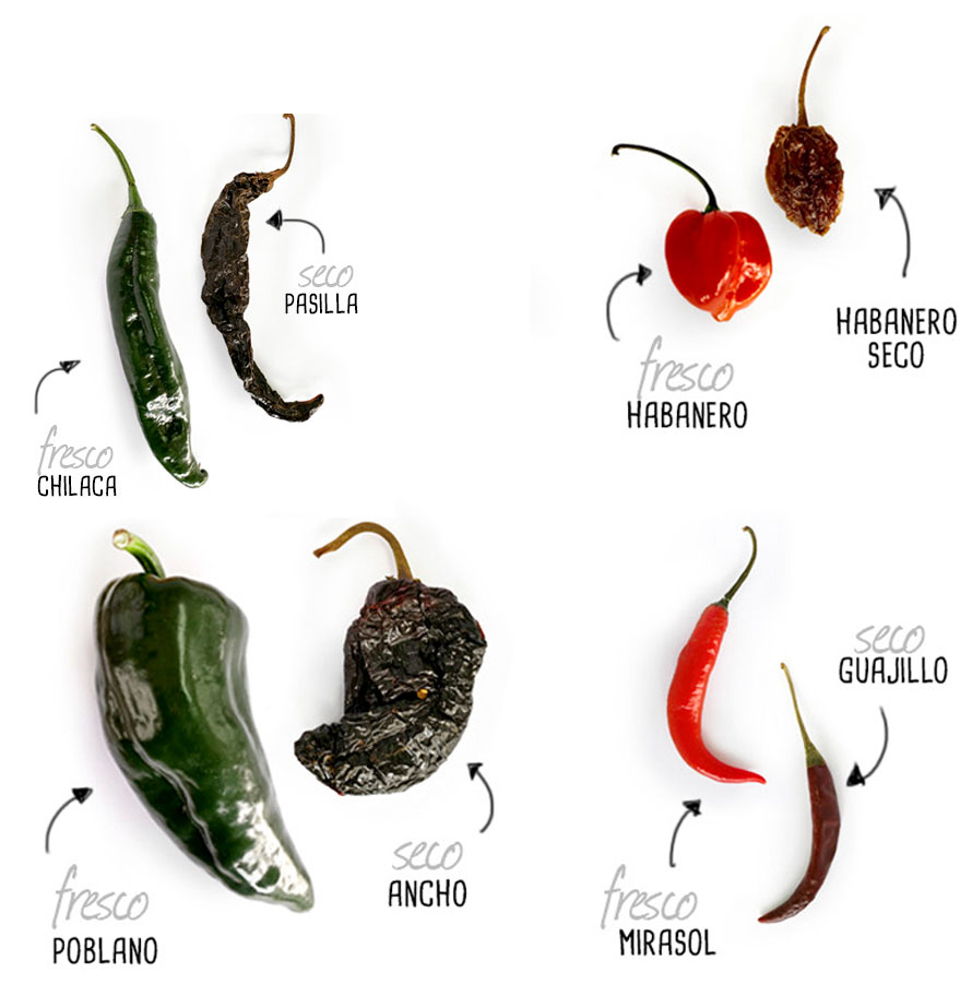 Nunca conocerías estos 4 chiles secos por su nombre cuando son chiles frescos CM Abastos